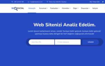 SEOSocial (screenshot desktop)