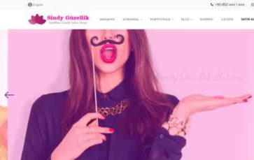 Sindy (screenshot desktop)