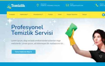 Temizlik (screenshot desktop)