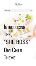 She Boss (screenshot mobile)