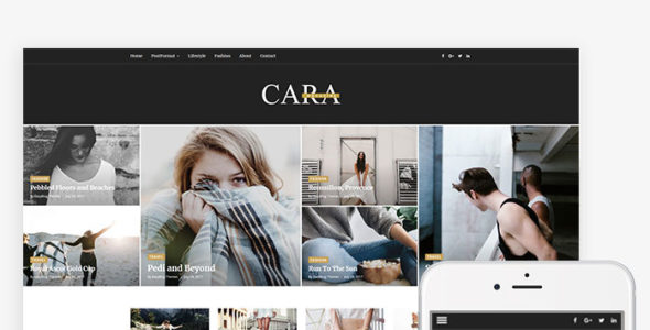 Cara (EasyBlog Themes)