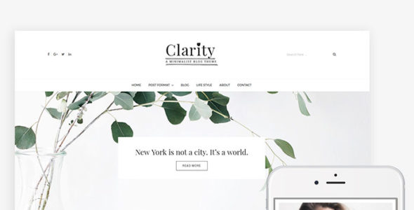 Clarity (EasyBlog Themes)