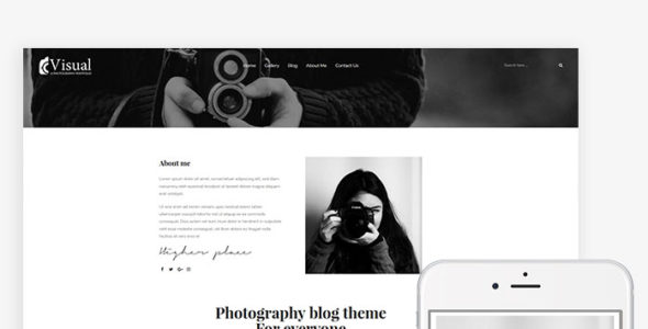 Visual (EasyBlog Themes)