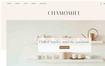 Screenshot Desktop Chamomile (screenshot desktop)