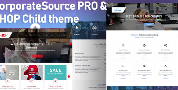 CorporateSource Pro (eDataStyle)