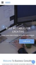 CorporateSource Pro (screenshot mobile)