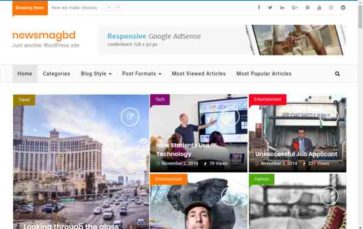 NewsMagbd Pro (screenshot desktop)