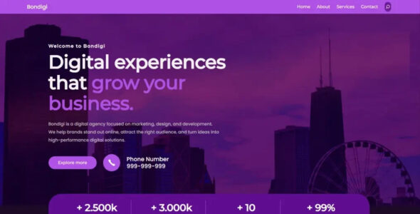 Bondigi Pro (Effe Themes)