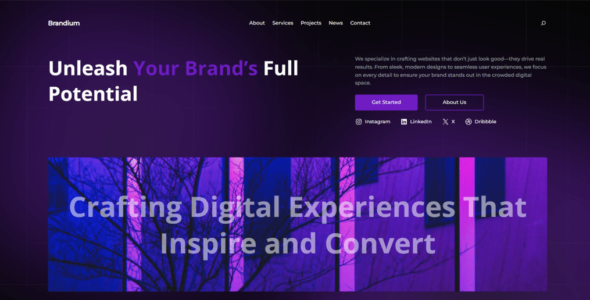 Brandium Pro (Effe Themes)