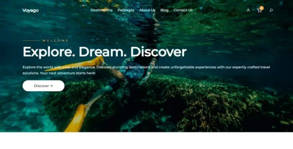 Voyago Pro (Effe Themes)
