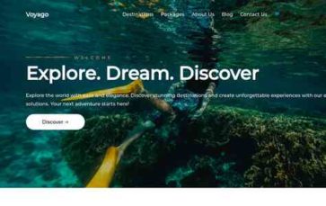 Voyago Pro (screenshot desktop)