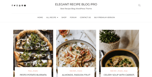 Elegant Recipe Blog Pro (Elegant Blog Themes)