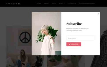 Messina Blog Pro (screenshot desktop)