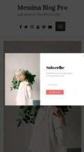 Messina Blog Pro (screenshot mobile)