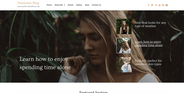 Zion Blog Pro (Elegant Blog Themes)