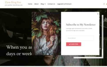 Zion Blog Pro (screenshot desktop)