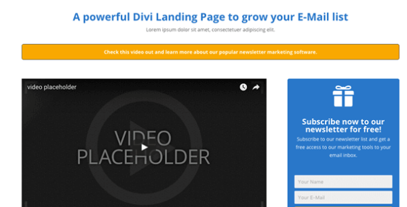 Divi Newsletter Landing (Elegant Marketplace)
