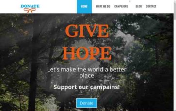 Donate (screenshot desktop)