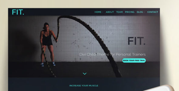 Fit (Elegant Marketplace)