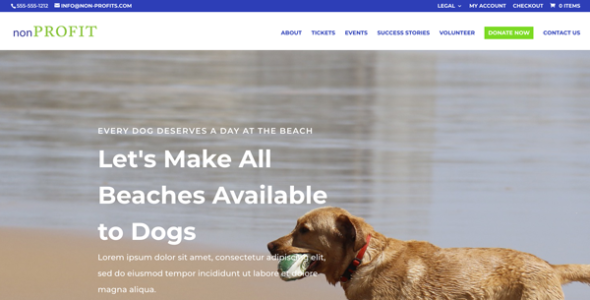 NonProfit (Elegant Marketplace)