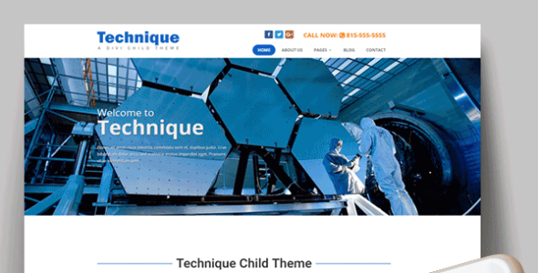 Technique (Elegant Marketplace)
