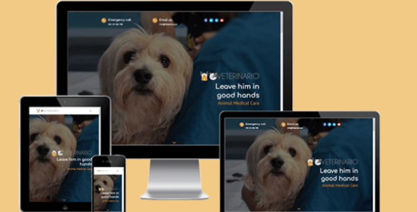 Veterinario Car (Elegant Marketplace)