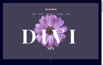 VRYN Spa Relax (screenshot desktop)
