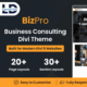 BizPro (Elegant Themes)