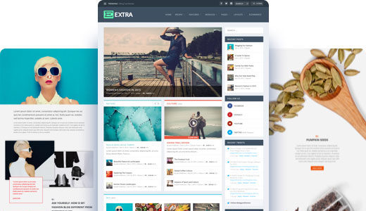 Extra (Elegant Themes)