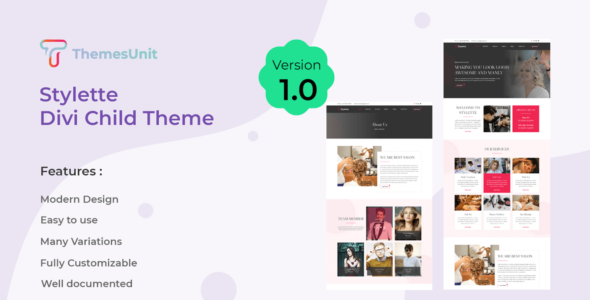 Stylette (Elegant Themes)