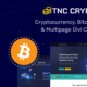 TNC Cryptique (Elegant Themes)