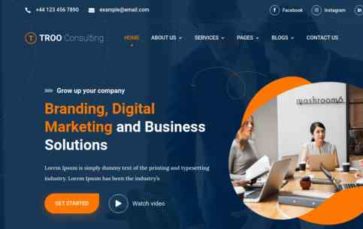 TRoo Consulting (screenshot desktop)