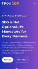 Screenshot Mobile TRoo SEO Agency (screenshot mobile)