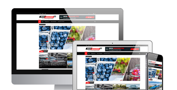 Envo Magazine Pro (EnvoThemes)