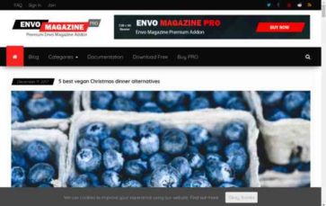 Envo Magazine Pro (screenshot desktop)