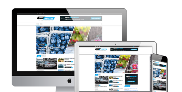 Envo Magazine (EnvoThemes)