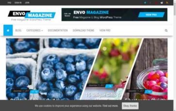 Envo Magazine (screenshot desktop)