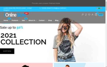 Envo Online Store Pro (screenshot desktop)