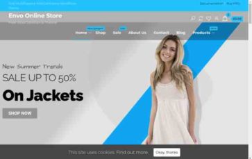 Envo Online Store (screenshot desktop)