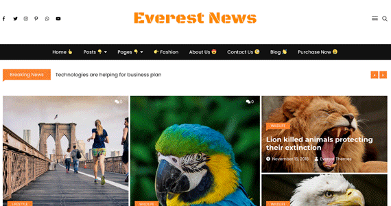 Everest News Lite (Everest Themes)