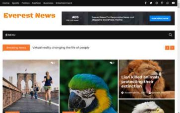 Everest News Lite (screenshot desktop)