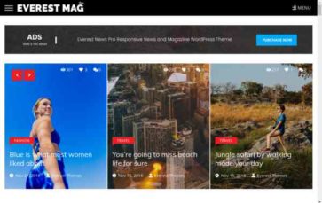 Everest News Pro (screenshot desktop)