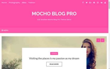 Mocho Blog Pro (screenshot desktop)