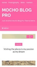 Mocho Blog Pro (screenshot mobile)