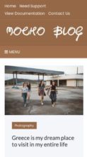 Mocho Blog (screenshot mobile)