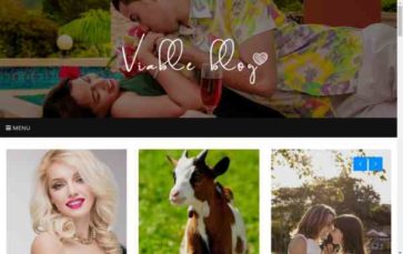 Viable Blog (screenshot desktop)