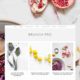 Brunch Pro Classic (Feast Design Co.)