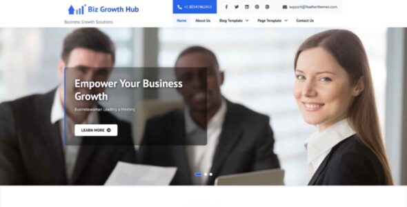 Biz Growth Hub Pro (Feather Themes)