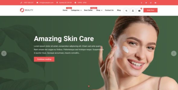 Business Commerce Lite (Firefly Themes)