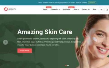 Business Commerce Lite (screenshot desktop)